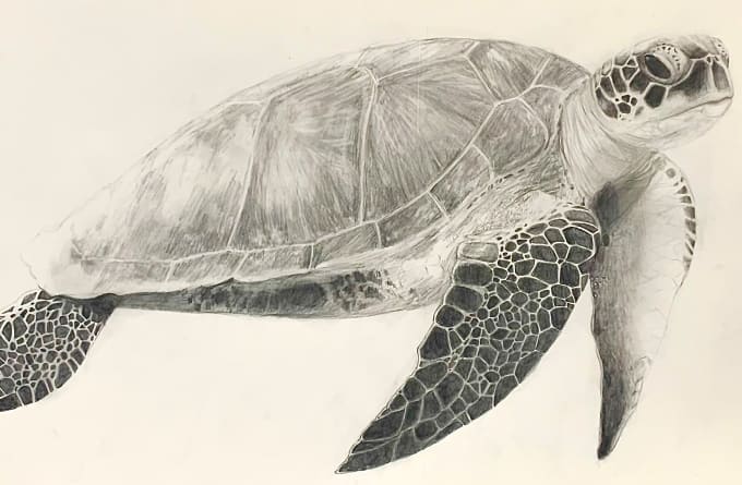 Pencil Drawings of Animals - Etsy Australia-saigonsouth.com.vn