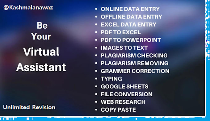 be your virtual assistant for data entry and web research