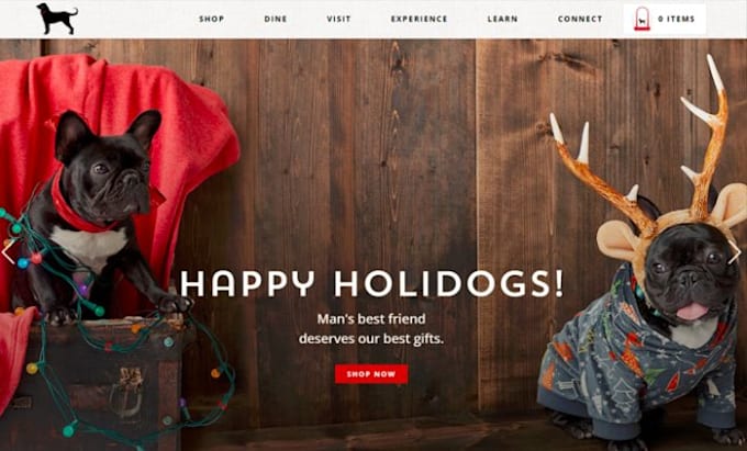 pet shopify design store and website
