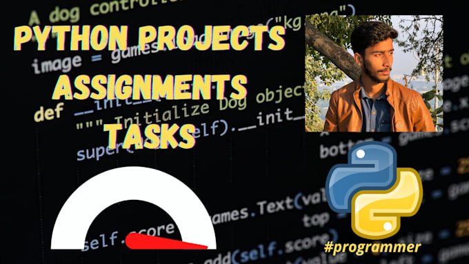 do python based projects, API development and bug fixes