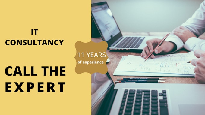 provide IT assistance and consultancy