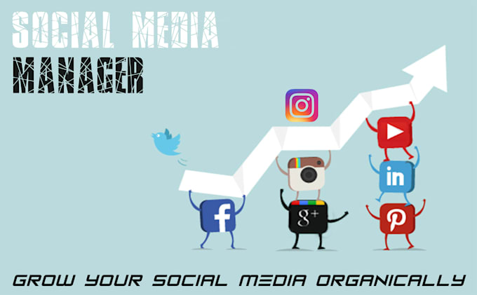 be your expert instagram and tiktok account manager