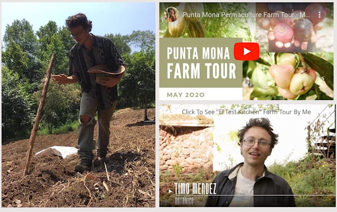 write permaculture related content