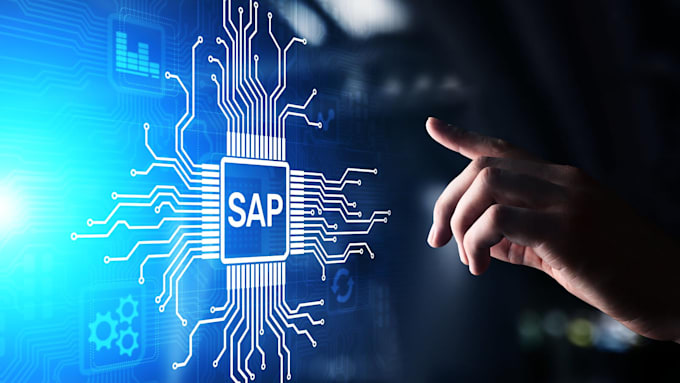 do sap abap development and provide sap consultation