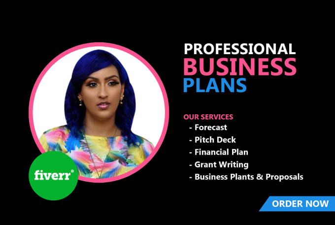 write investor ready business plan,grant proposal,pitch deck