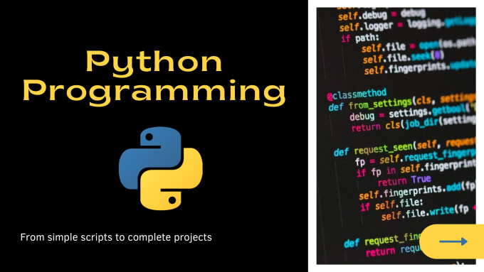 Solve your problems with python by Eliaslengrube | Fiverr