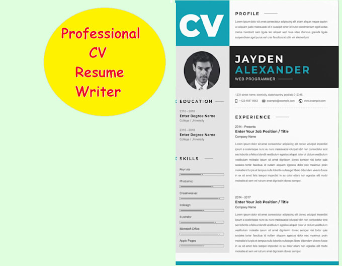 write your professional resume CV