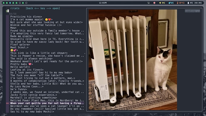 Build Command Line Apps For You In Rust python And Bash By Vance0 Fiverr