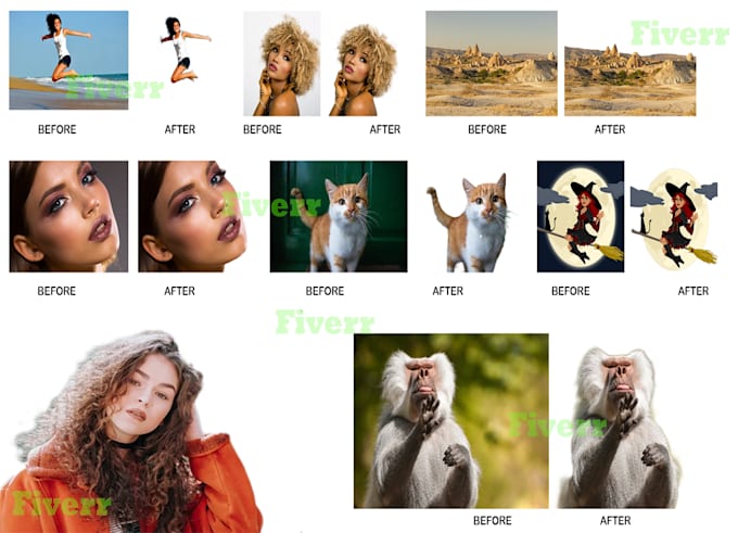 do professional photo cutout service