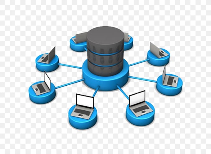 design and develop a database and queries