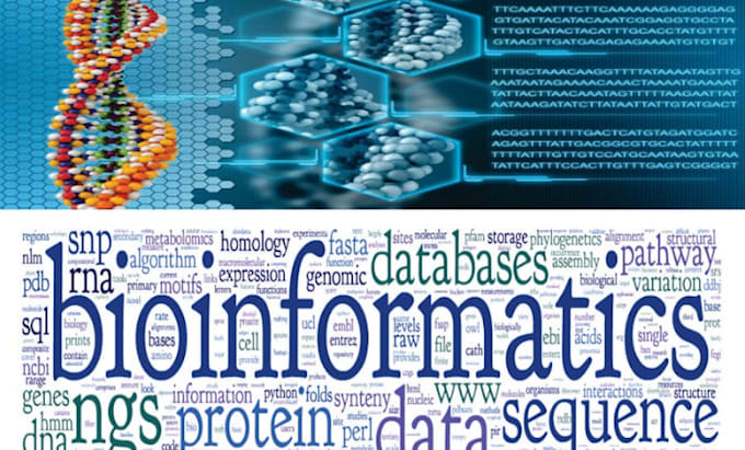 assist you in bioinformatics and python tasks