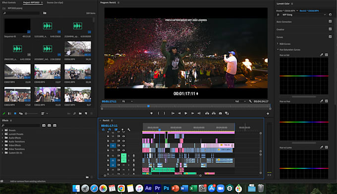be your professional youtube video editor