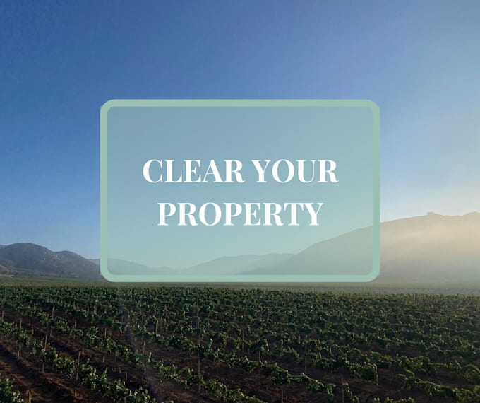 clear your property of any negative energies
