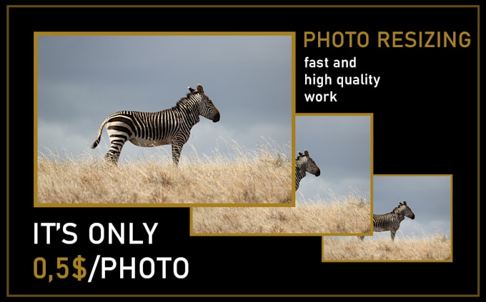 resize your photos with no quality damage