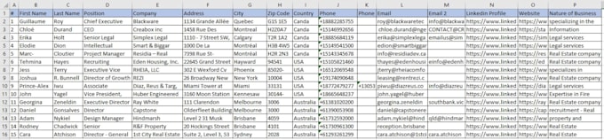 do manual web scraping, and data mining