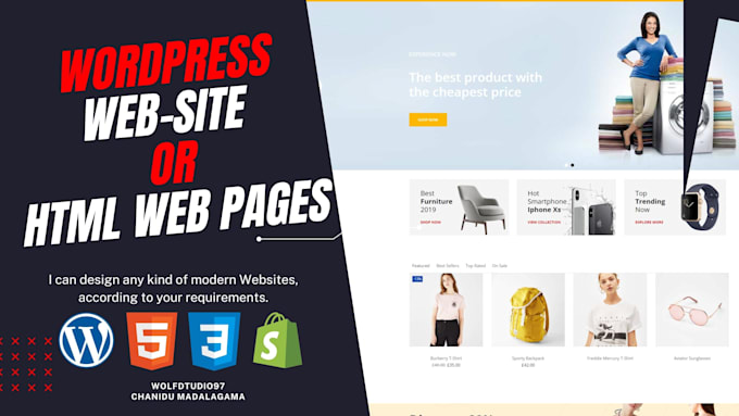 develop professional wordpress business or ecommerce website