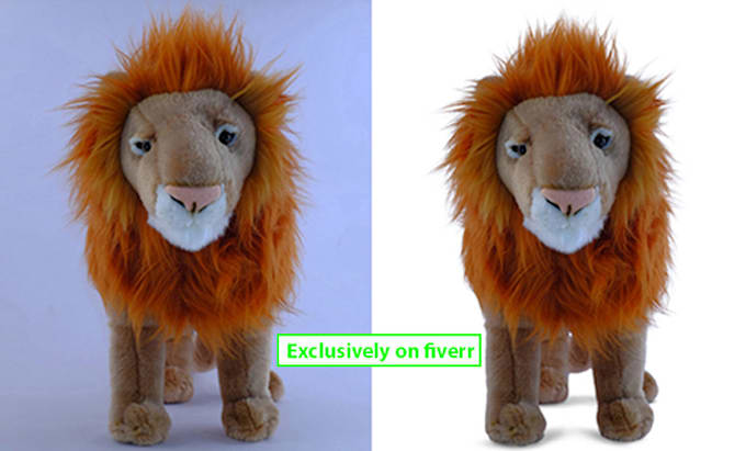provide background removal services