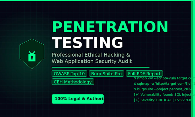 perform professional penetration testing, and web application security audit