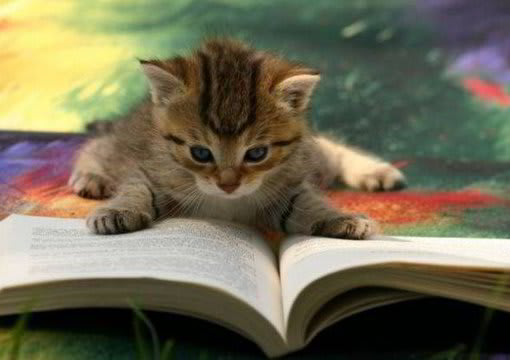 edit and proofread your articles, up to 1000 words