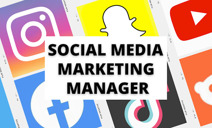 be your tiktok, instagram, facebook, youtube manager 2025 social media manager