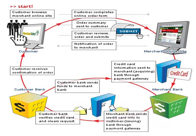 add integrate payment gateway api to your website