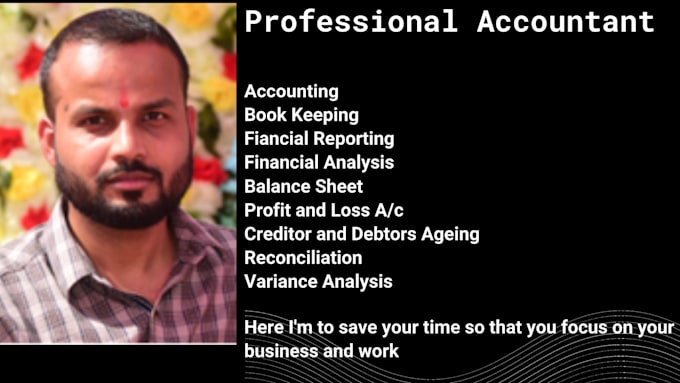 be your virtual accountant and book keeper