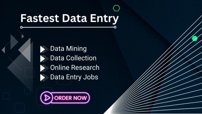 clean and precise data entry work