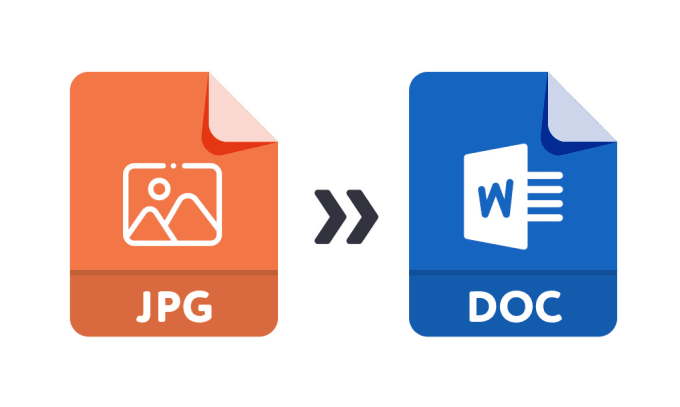 Change jpg text to ms word and pdf by oliviagrey139 fiverr