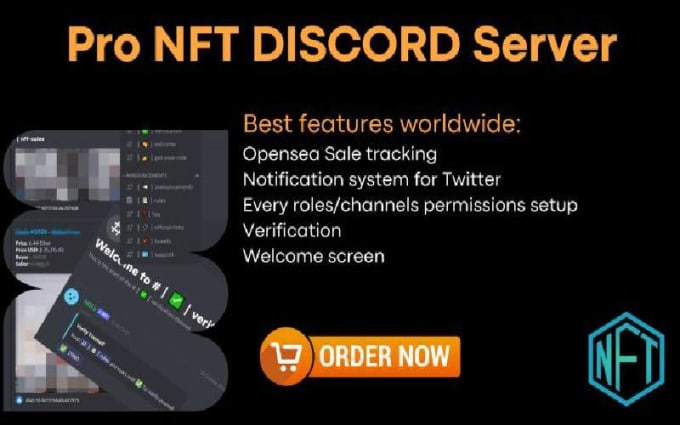 Create a nft discord server by Rolas corzo Fiverr