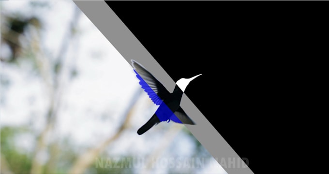 do vfx, rotoscoping, roto, green screen remove professionally