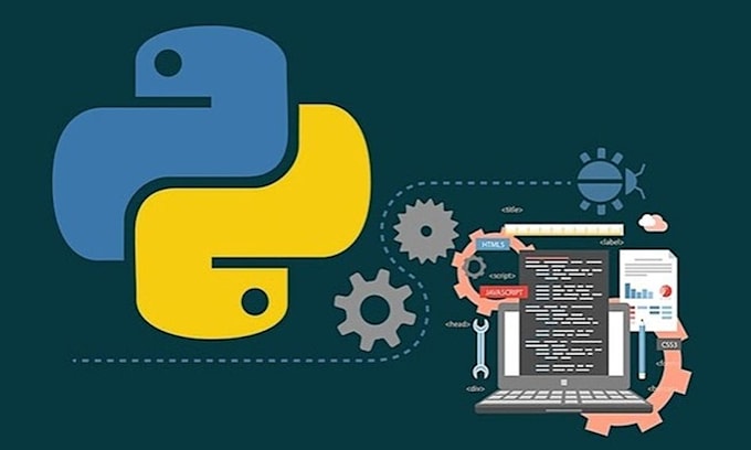 Create api data collection scripts in python by Kristianthomaj | Fiverr