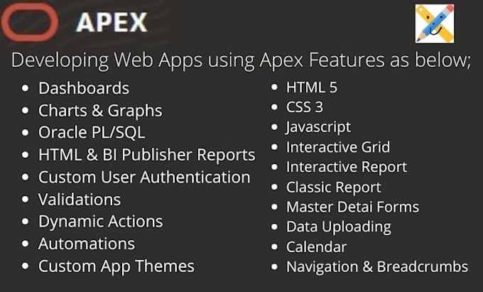 develop and customize oracle apex web application for you