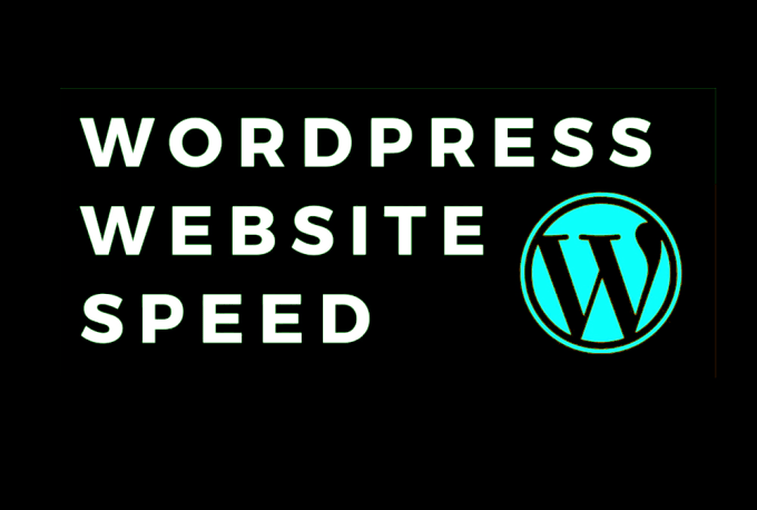 increase wordpress speed optimization for google pagespeed insights