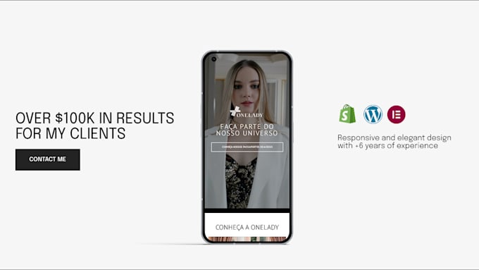 build a professional, fast and responsive wordpress website