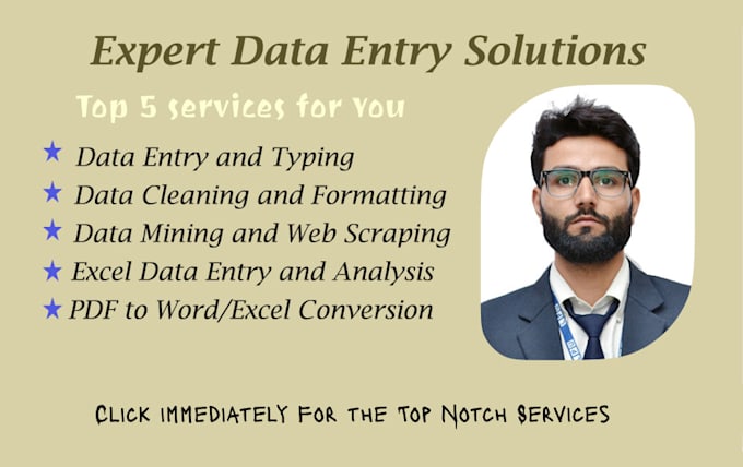 accurate and efficient excel data entry and data analysis