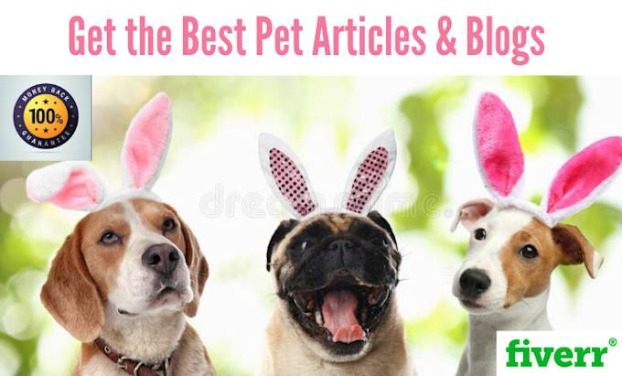 write SEO article and blog on your pet