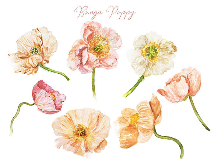 create custom watercolour floral collection