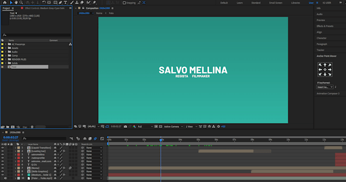 do professional video editing