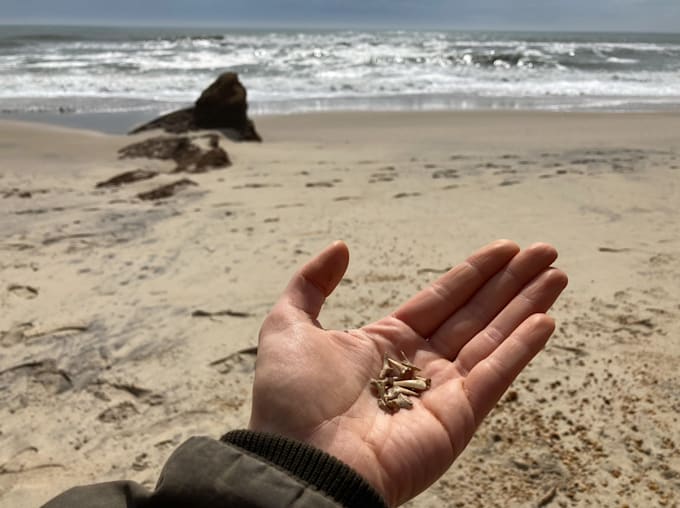 Write real estate blurbs by Annacoppelman Fiverr