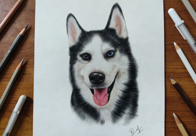 Pet Portraits & Animal Art by UK Artist Donna | Dog Portraits Drawn &  Painted by Commission