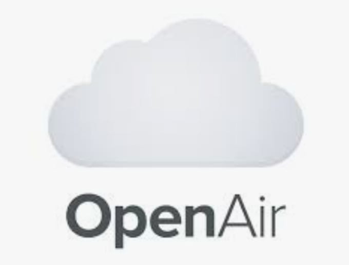 do the netsuite openair customization integration and scripting
