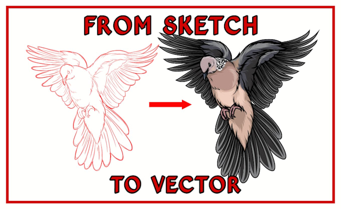 make a sketch of your animal into a vector