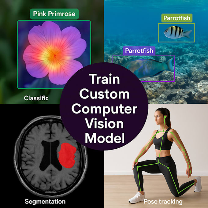 train your custom computer vision model