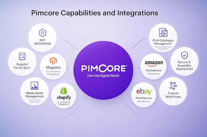 develop a comprehensive pimcore website