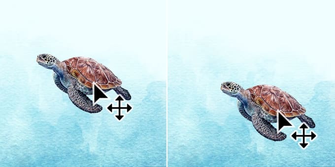 animate your still picture into a video animation