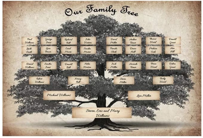 albero genealogico personale, storia della tua famiglia