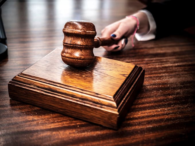 provide civil litigation legal support