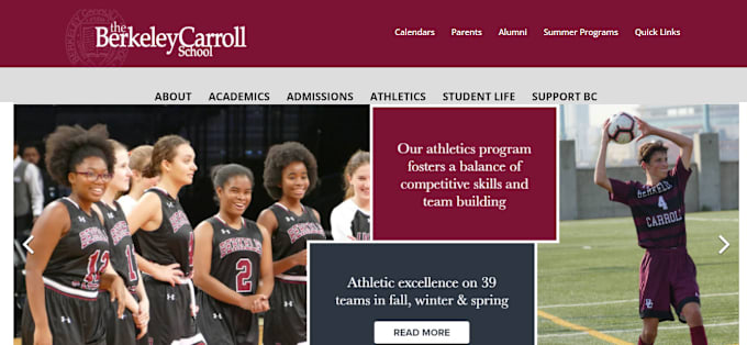 develop a professional school website