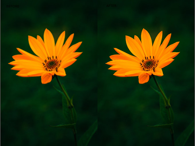 resizing photo quality weak photo to 4k photo resizing