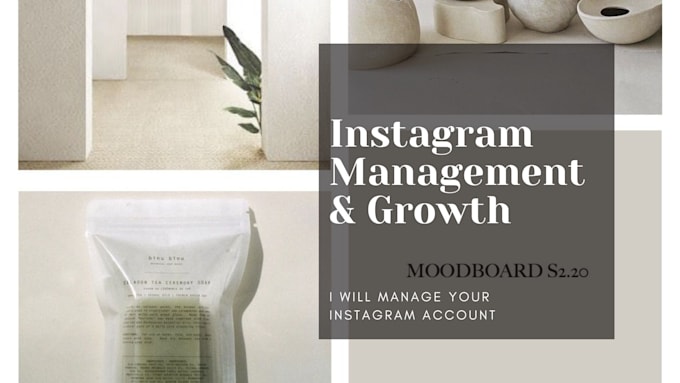 help you with social media management